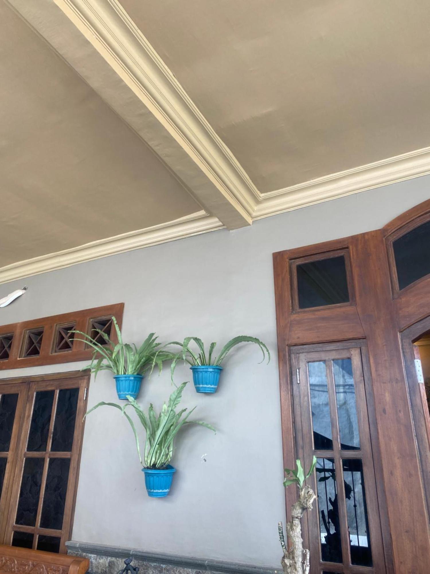 Good Feeling Banyuwangi Hostel Banyuwangi  Exterior foto